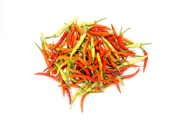 Fototapeta premium Capsicum annuum Linn on white background