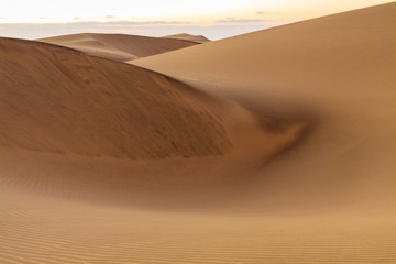 Fototapeta na wymiar Landscape of empty sand desert. Dunes of Maspalomas, Gran Canaria island.