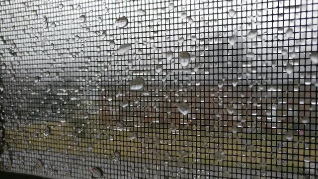Rainy Window Screen
