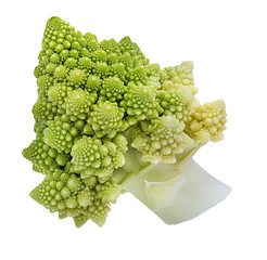  Roman cauliflower isolated on white background with clipping path