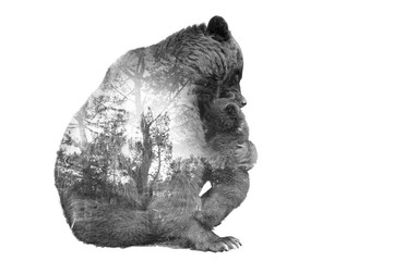 Minimal stile double exposure Brown Bear with baby and forest