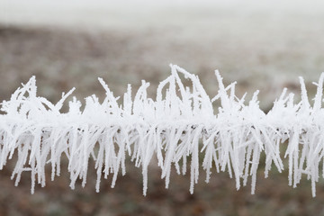 Eis am Zaun