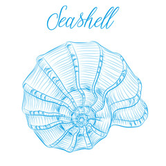 Nautilus sea shell Hand drawn blue linear vector illustration.Marine wildlife decorative designer graphic art element isolated