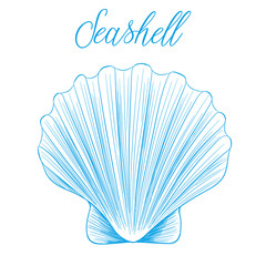 Clam bivalve sea shell Hand drawn blue linear vector illustration.Marine wildlife decorative designer graphic art element isolated.