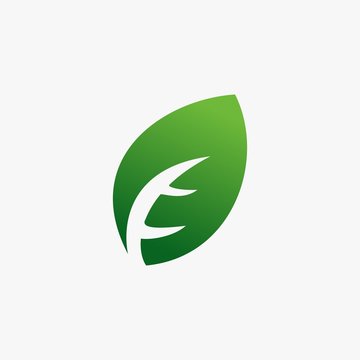 green leaf icon logo design