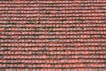 old roof with red mossy tiles