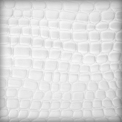 white artificial leather texture as background