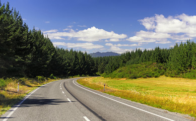 Landstraße durch ein Waldgebiet, Neuseeland