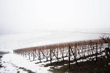 Langhe in inverno