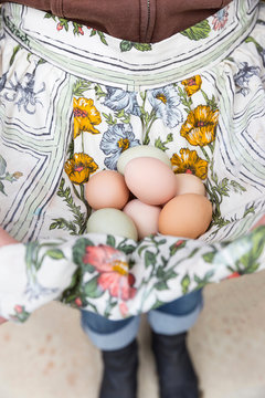 Woman collecting eggs in apron