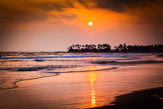 beautiful sunset over the coconut plams on Sri Lanka beach