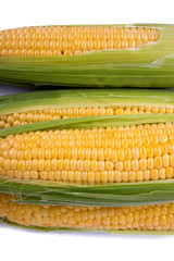 Corn on a white background
