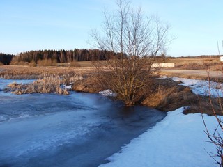 Fototapeta premium Landscape of a small lake with old snow in a forest in the early spring