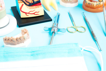 porsthodontic model and dentist tool - demonstration teeth model of varities of porsthodontic bracket or brace