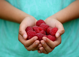 Raspberry  © Renata