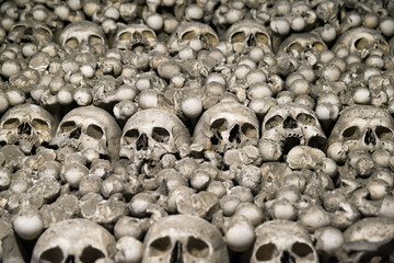 Skulls and bones - obrazy, fototapety, plakaty