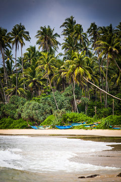 untouched tropical beach in Sri Lanka
