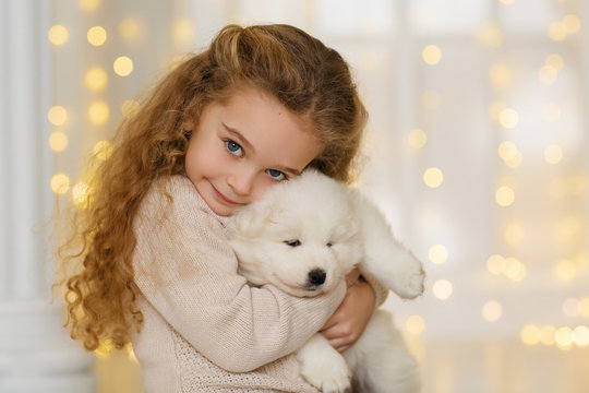 Little girl with a samoyed puppy