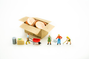 Miniature people, gardener in action on white background, using as agriculture concept