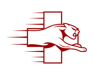 cross medical leopard cheetah tiger jaguar beast animal image vector