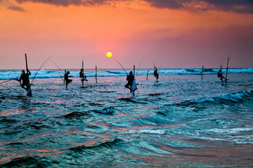 silhouettes of the traditional stilt fishermen at the sunset near Galle in Sri Lanka