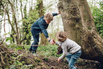 Boys in Forest