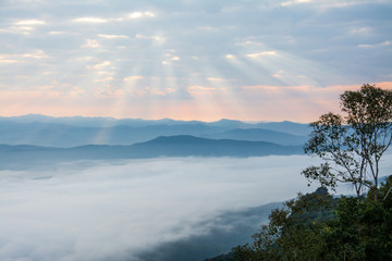 sunrise twilight and sea fog of Doi Samer Dao  in Sri Nan National Park ,  Nan Province of Thailand