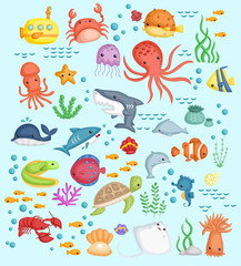 underwater sea life