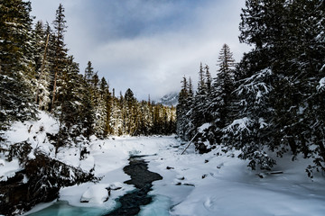 McDonald Falls, Glacier National Park In Winter
