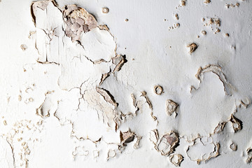 Blown plaster. Damp salt damaged wall surface in need of repair.