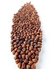 Chickpea a Dry Natural Food Vegetable