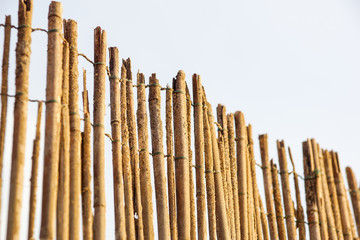 bamboo fence background on the beach