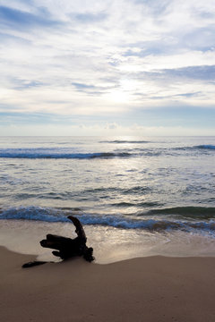 Sri Lanka - Ahungalla - A grounded stump at the beach