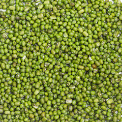 Raw green bean on white background.