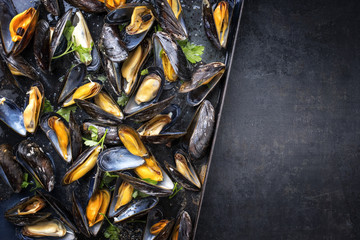 Traditional barbecue Italian blue mussel in white wine as top view in a tray with copy space right