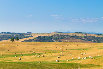 Obraz premium Tuscany hills landscape, Italy