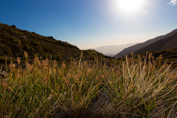 Paisaje ante nosotros