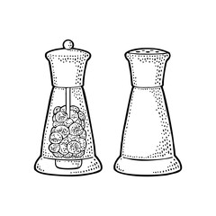 Salt and pepper shaker