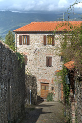 Fototapeta na wymiar rustic house in Tuscany