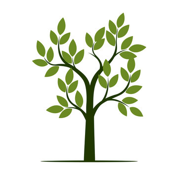 Green Tree with Leaves. Vector Illustration.