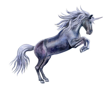 Black horse is a unicorn isolated on white background. Watercolor, illustration. Template. Handmade