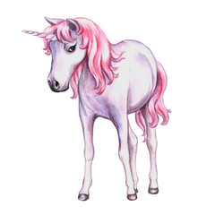 A unicorn with a pink mane isolated on a white background. Illustration. watercolor. Template