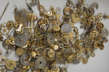 weel gear watch 