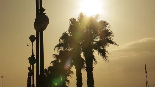 Reggio Calabria, lungomare al tramonto