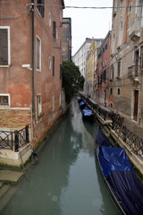 VENECIA