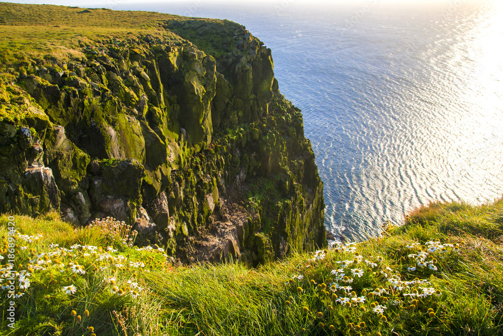 Wall mural green icelandic cliffs at dramatic lighting above ocean, látrabjarg, westernmost point of iceland