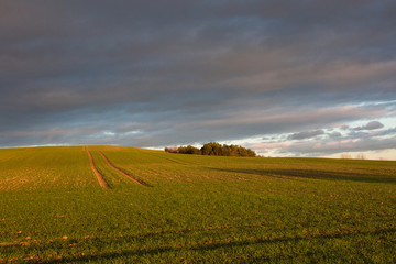 Obraz premium Abendhimmel über dem Feld