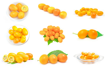 Set of cumquats on a white background