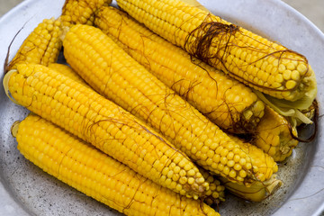 Boiled corn on an aluminum tray. Corn near. Closeup of corn. Yellow boiled young corn, useful and tasty food