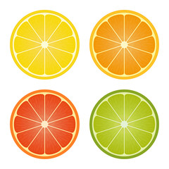 Obraz premium Citrus fruits halves set.